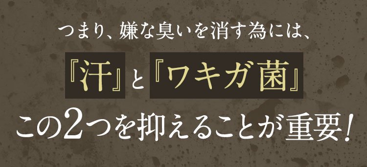 つまり嫌な臭いを消すためには