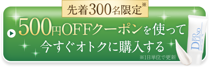 500円オフクーポンを使って今すぐおトクに購入する